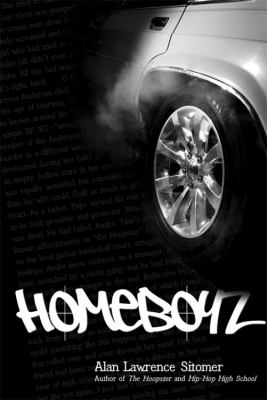 Homeboyz, v. 3, Hoopster