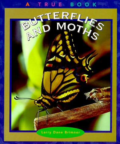 Butterflies and moths