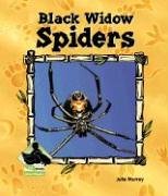 Black widow spiders