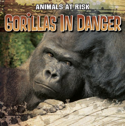 Gorillas in danger / 