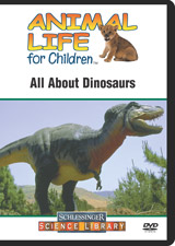 All about dinosaurs